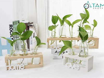 Bộ khung gỗ chữ nhật kèm lọ thuỷ tinh cắm hoa thuỷ canh [3 màu - 3 size] BINHLOHOA-05